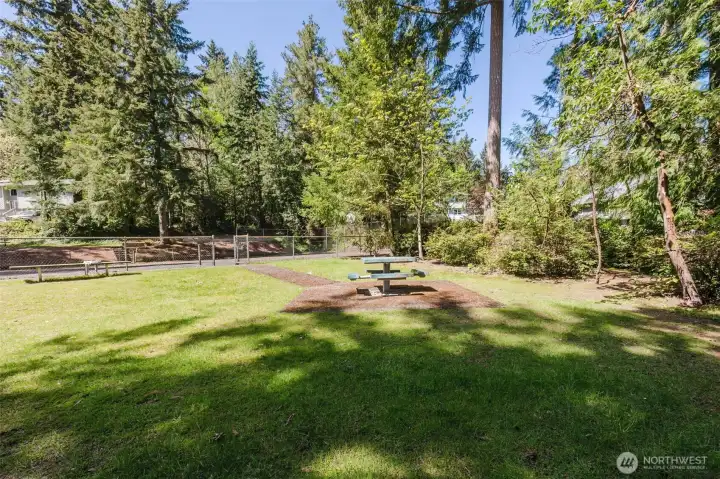 Community park and sports court.