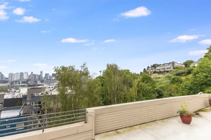 View from roof