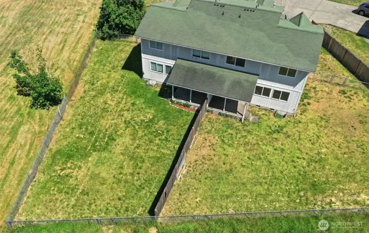 Back yards