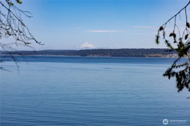 Mt Baker in the distance