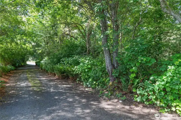 Driveway within Whidby St looking South towards Twin Spits Rd.