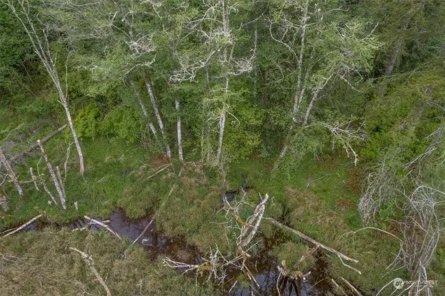 Stream leading to Pond