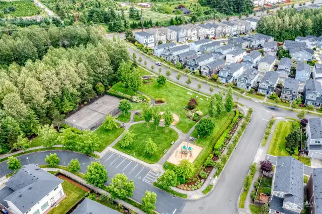 A nature reserve surrounds The Bridges community with amenities including a playground park with tennis courts, multiple walking trails & dog park for optimal outdoor enjoyment.