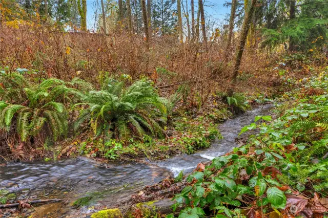 Peaceful year round creek.