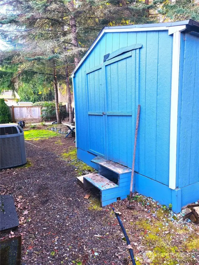 Shed