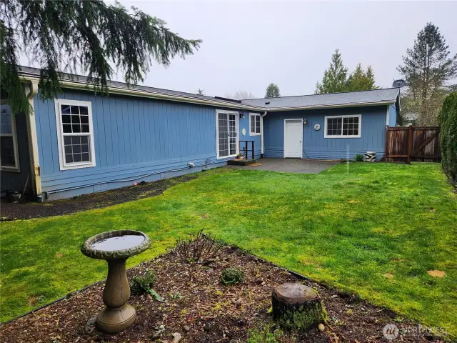 Back yard