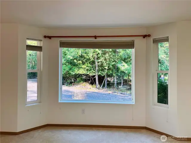 Bay Windows
