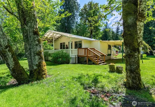 Waterside of the cabin
