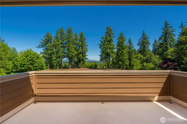 Deck off Primary BR overlooks back yard w/Cascade views.