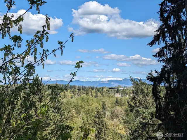 Territorial Cascade views.  White River ampitheatre across the way.