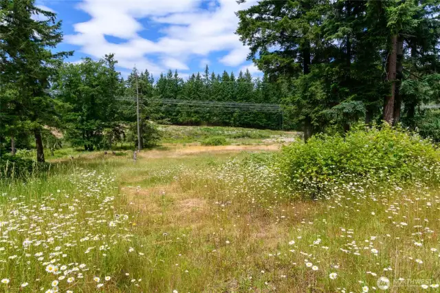Natural Surroundings — A peaceful backdrop of native trees and seasonal views make for a scenic homesite.