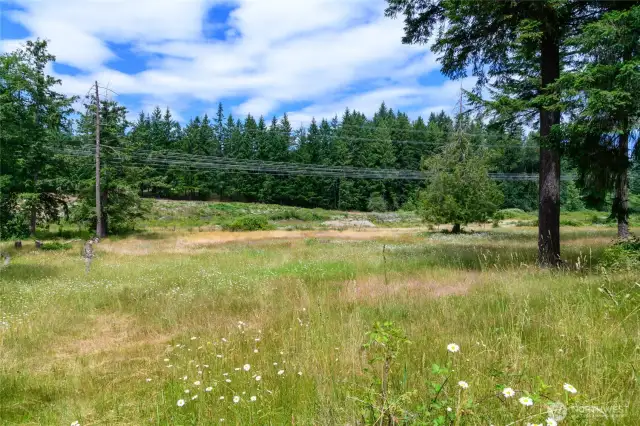 Great Sun Exposure — Open skies provide natural light for solar, gardening, or simply enjoying the outdoors.