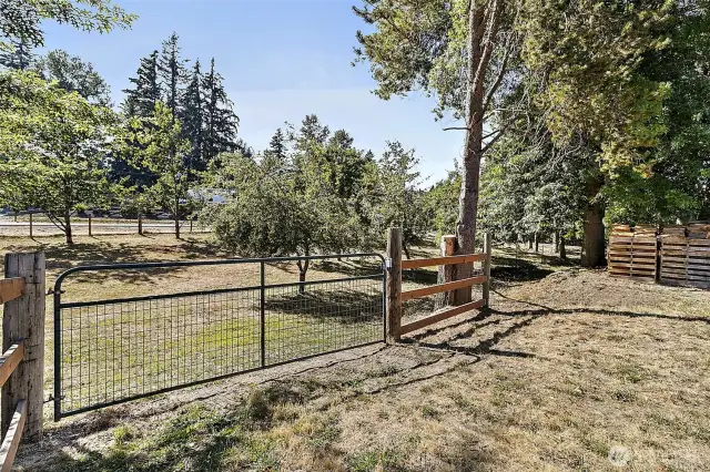 Front pasture