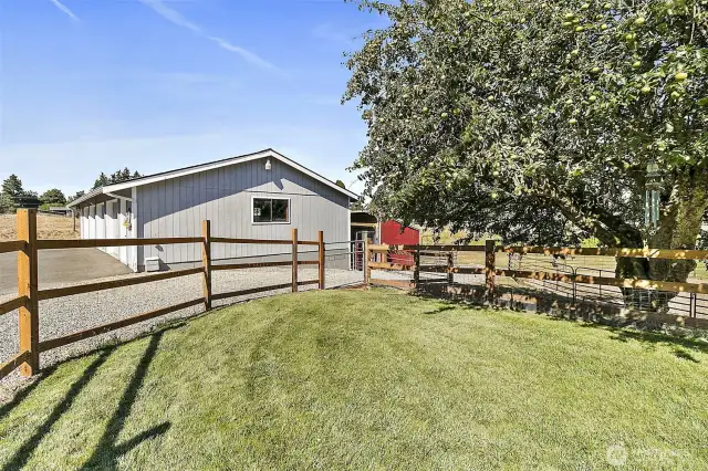 fully fenced back yard