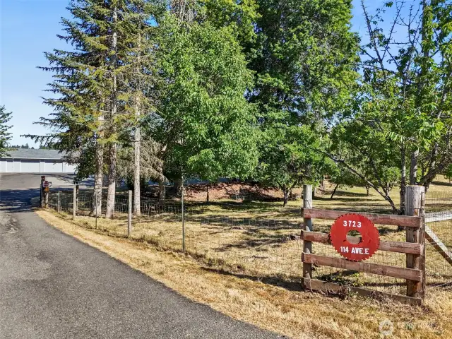 private driveway in with gated entry and privacy trees.