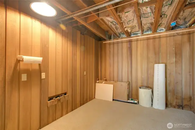 Unfinished room in basement