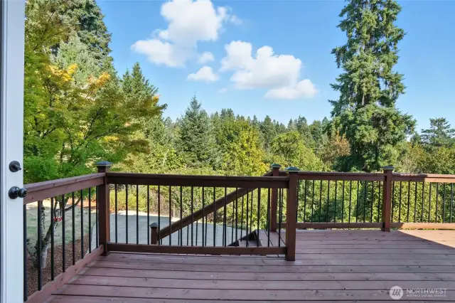 Deck - Main