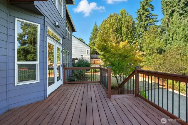 Deck - Main
