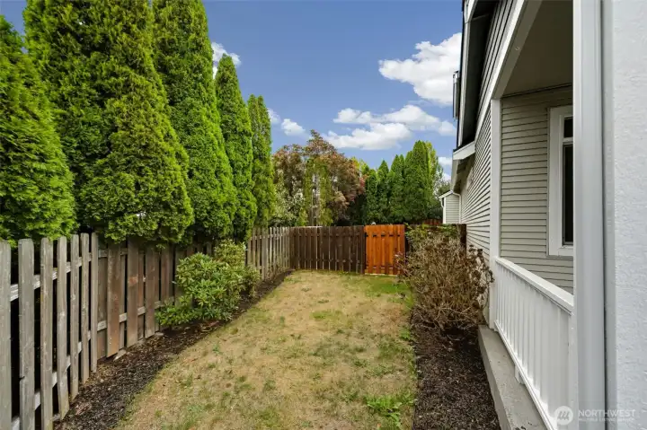 Side Yard