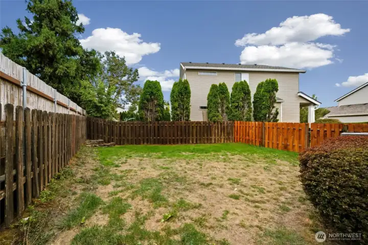 Backyard