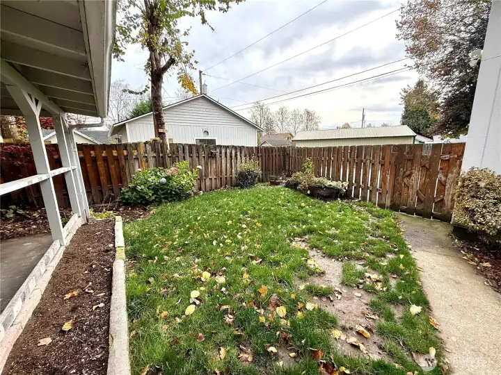 Fenced Backyard