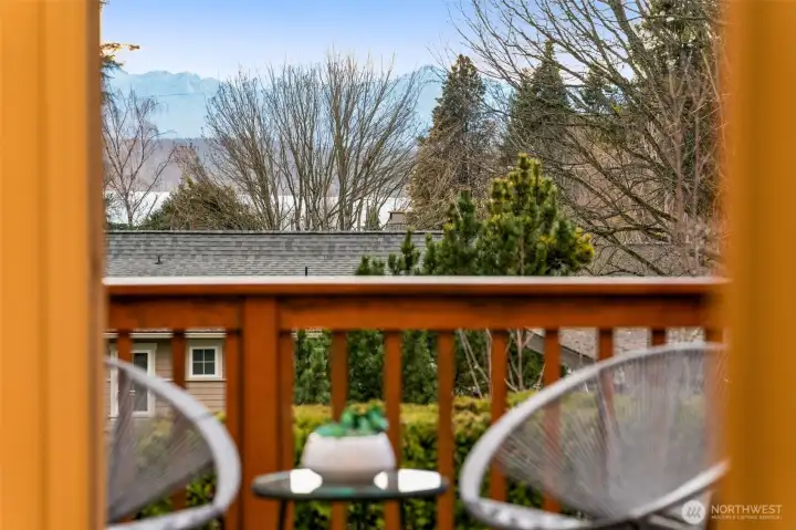 Check out the view of the Olympic Mountains