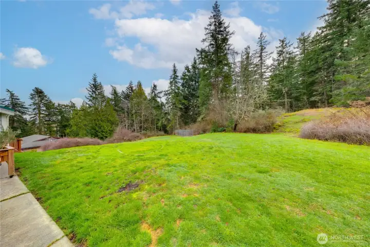 A dedicated dog run visible in the distance offering space for pets to play and roam.