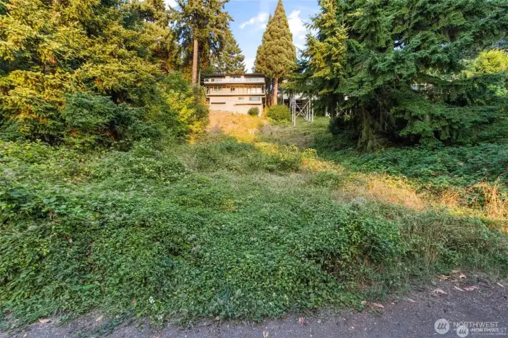 Cleared lot potential for possible DADU