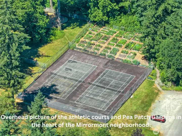 Sport Court and pea patch garden areas.