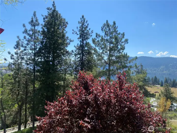 VIEW