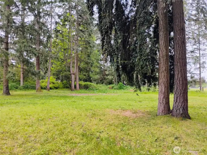 A backyard ready for BBQs, pets, and play
