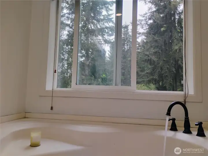Large Soaking Tub with a serene view, AND Blinds for added privacy