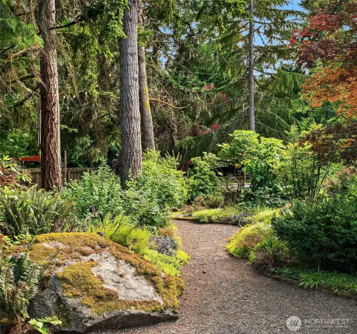 Moss-covered boulders, ferns, Japanese maples, and towering conifers create a landscape that is distinctly Pacific Northwest.