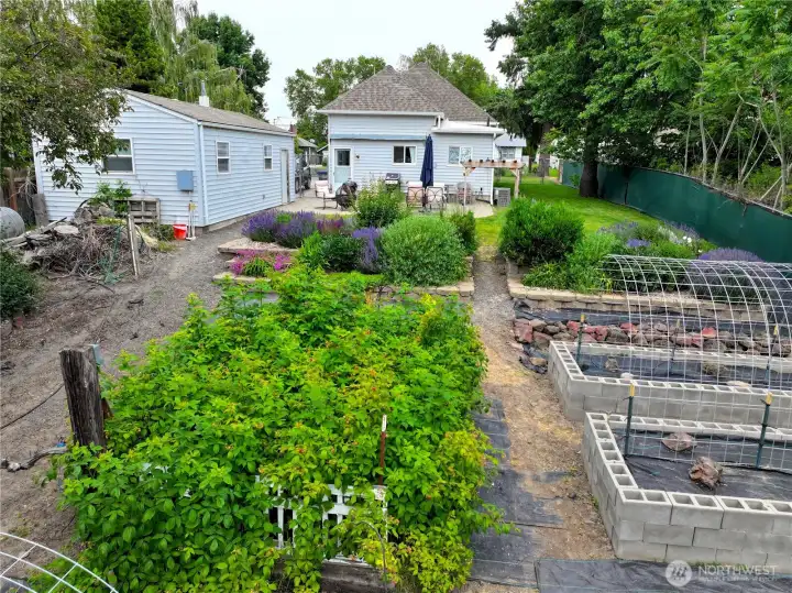 Garden beds and Spacious yard Garden beds and Spacious yard