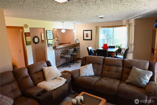 Lower Level Family Room
