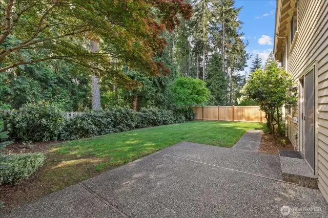 Private,serene backyard.