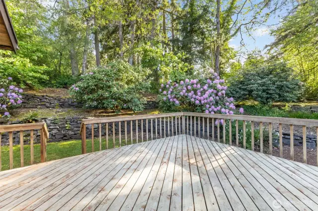 Large deck for entertaining