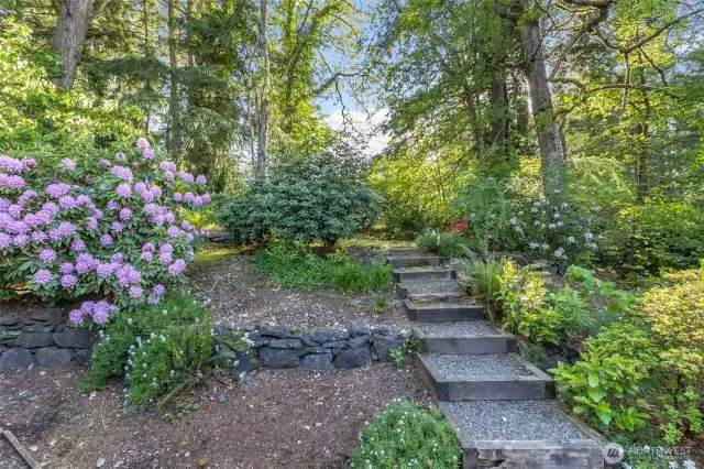 Private back yard