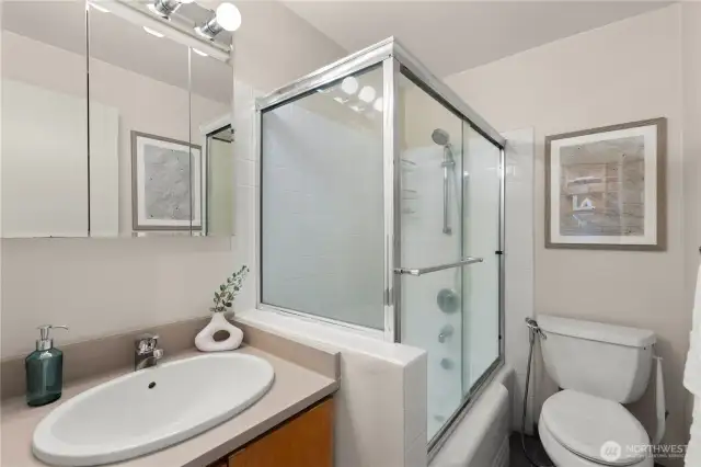 Guest full bathroom.