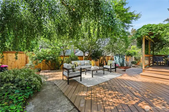 The private backyard