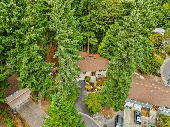 Aerial view of home showing the HUGE lot and so much privacy.