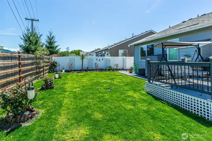 The backyard from the opposite side