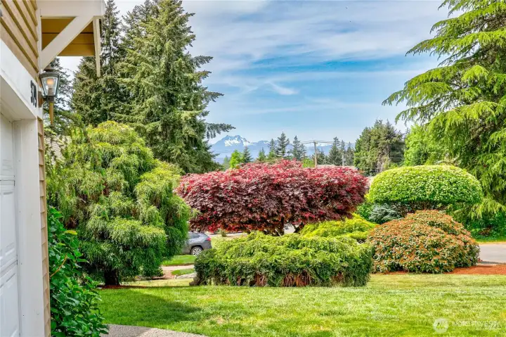 From the driveway catch a peak of the magnificent Olympic Mountains!