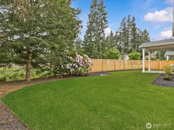 Enjoy a serene and private outdoor retreat featuring a beautifully manicured green lawn framed by mature privacy landscaping and partial fencing. The spacious layout highlights a wonderful perspective of the covered patio, making it ideal for relaxing or hosting gatherings.