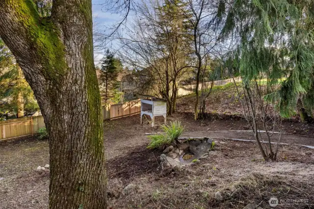 Chicken Coop/Rabbit Hutch and Man-made Pond