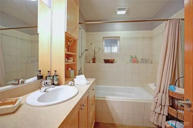 Lower Level Full Bathroom