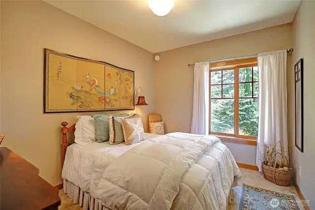 Lower Level Second Bedroom