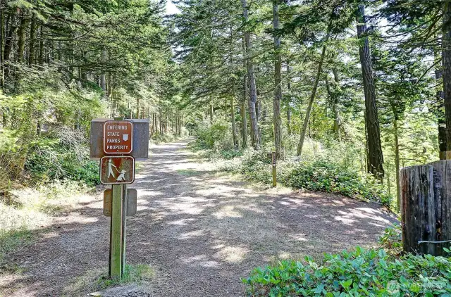 Fort Ebey State Park Trails seconds from your Front Door