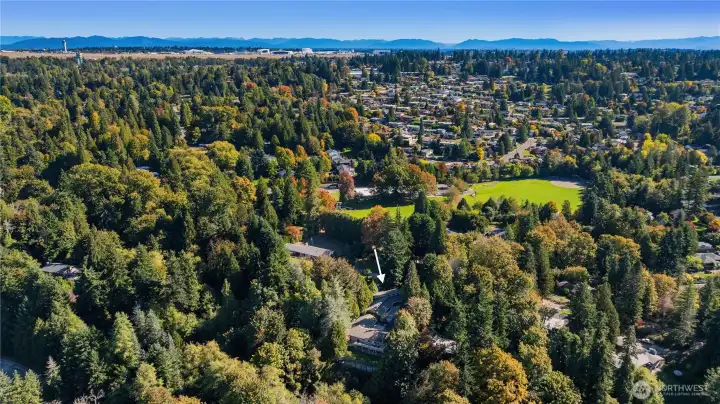 From above, the property reveals its true scale — nestled in a private pocket of Normandy Park with verdant borders on every side.