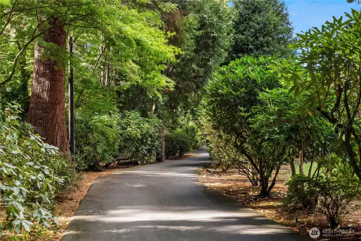 A winding driveway framed by mature rhododendrons and evergreens leads to this hidden Normandy Park retreat.